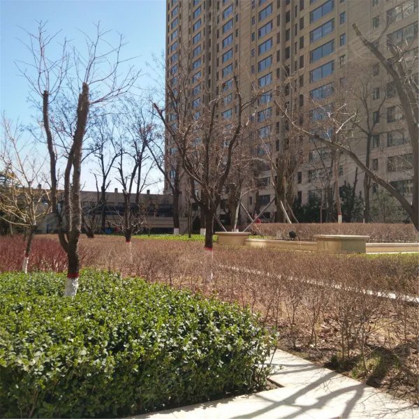 御龙庭(龙城北街)