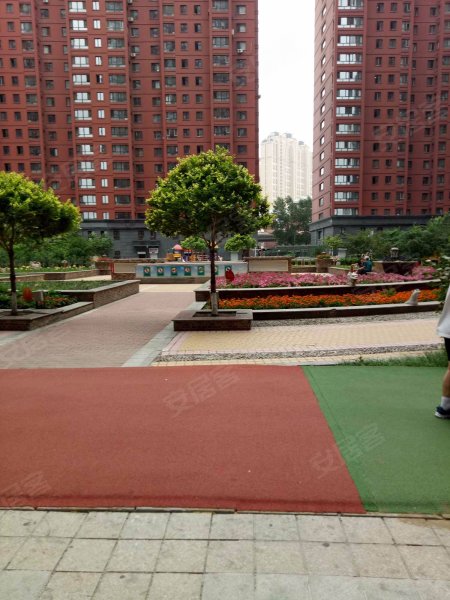 紫金城,新阳路773号-哈尔滨紫金城二手房,租房,房价-哈尔滨安居客