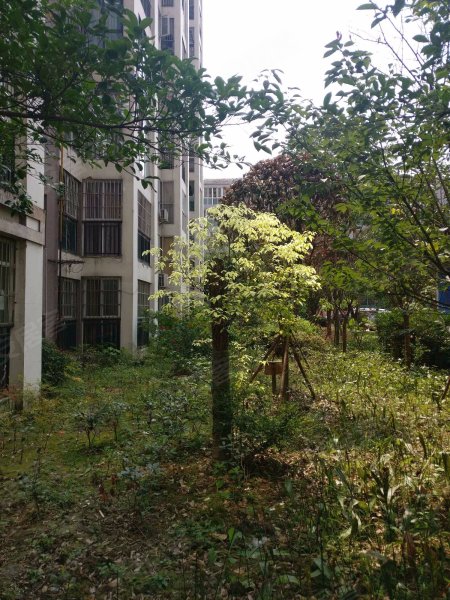 龙祥佳苑三期,康和路3099号-成都龙祥佳苑三期二手房,租房,房价-成都