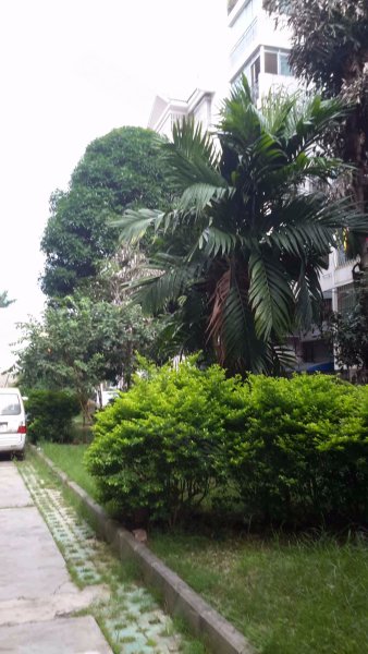 丽江花园,五一中路26号-南宁丽江花园二手房,租房,房价-南宁安居客