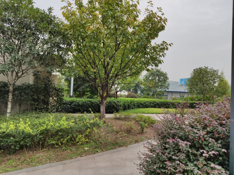 名门山庄(别墅),南桥寺开发区20号-重庆名门山庄(别墅)二手房,租房