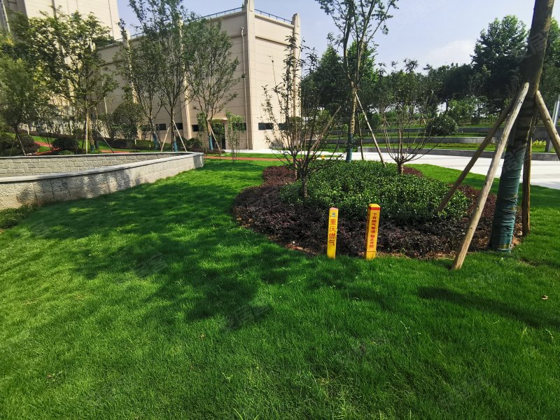 中伦金海岸,华山南路23号-重庆中伦金海岸二手房,租房,房价-重庆安居