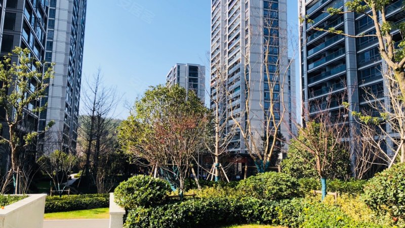 绿城留香园,教工路-丽水绿城留香园二手房,租房,房价-丽水安居客