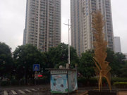 南油小区图片