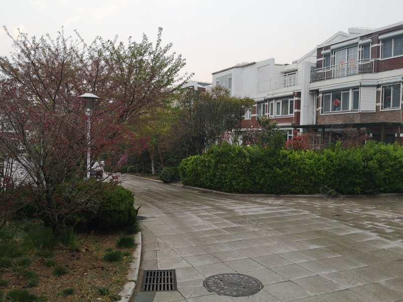 书香门第(崂山),松岭路58号-青岛书香门第(崂山)二手房,租房,房价