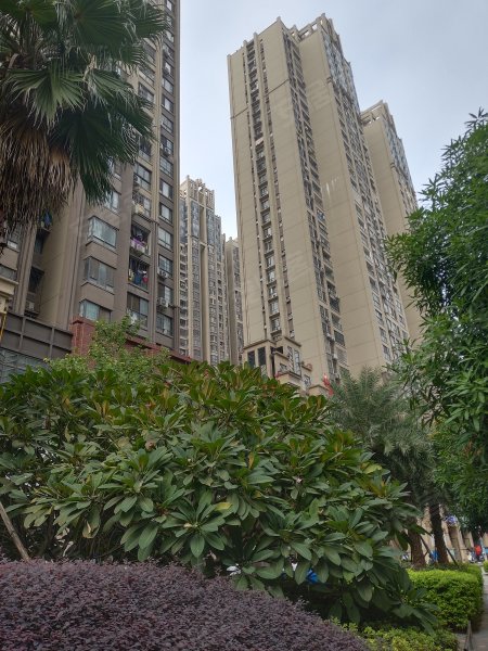 明秀小区,明秀东路145号-南宁明秀小区二手房,租房,房价-南宁安居客