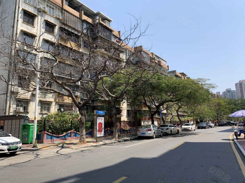 长青综合楼,长青路178号-厦门长青综合楼二手房,租房,房价-厦门安居客