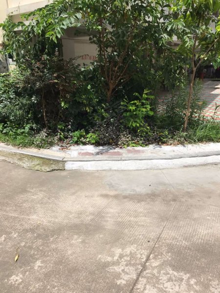 金峰山庄(公寓住宅),文屏二里59