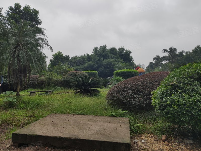 名门山庄(一二期),南石路-重庆名门山庄(一二期)二手房,租房,房价