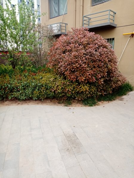 祥和苑,商贸路-郑州祥和苑二手房,租房,房价-郑州安居客