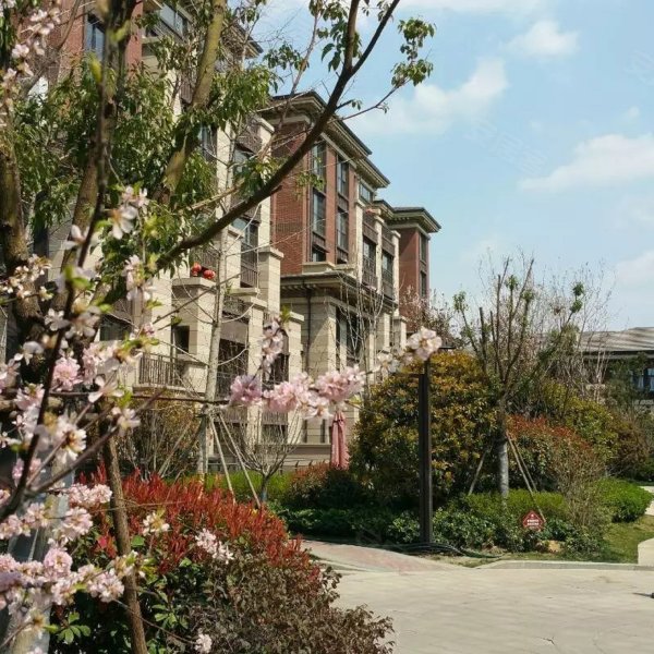 城投鹿港,连菏线-济宁城投鹿港二手房,租房,房价-济宁安居客