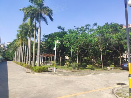 怡安花园,民主大道4号-深圳怡安花园二手房,租房,房价-深圳安居客