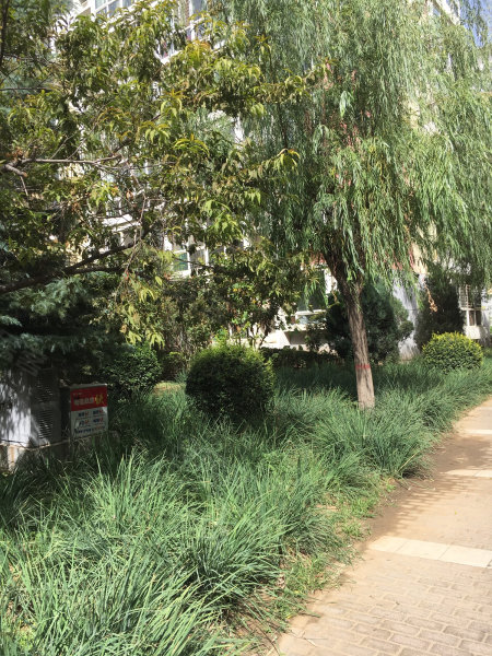 嘉实栖园,新石中路-石家庄嘉实栖园二手房,租房,房价-石家庄安居客