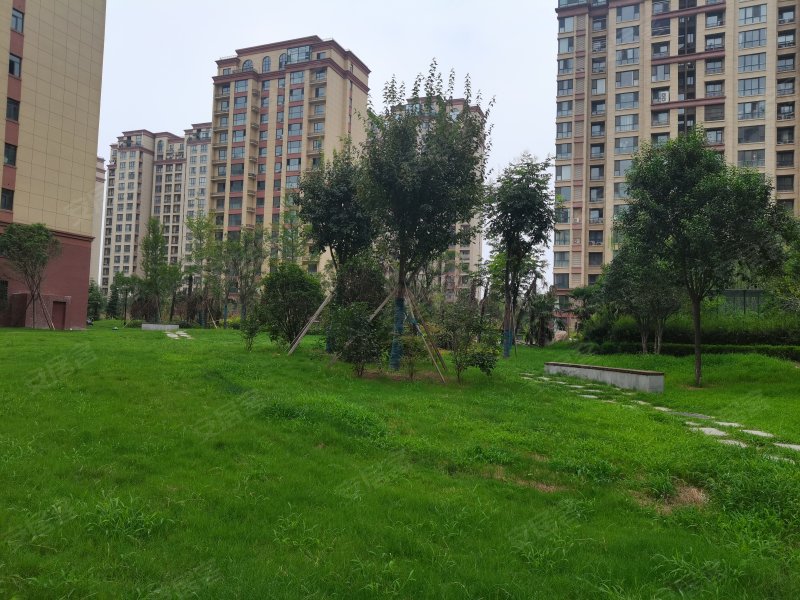 西城家园,新园路,近普济路-焦作西城家园二手房,租房,房价-焦作安居客