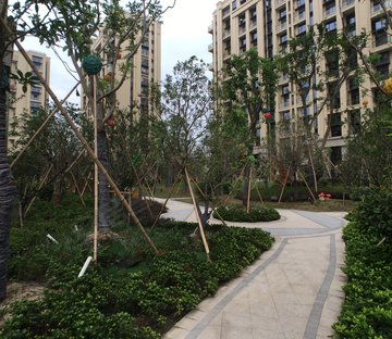 艮北新城小区图片