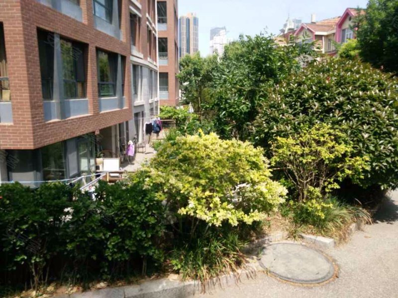 金色国际公寓,东海一路25号-青岛金色国际公寓二手房,租房,房价-青岛