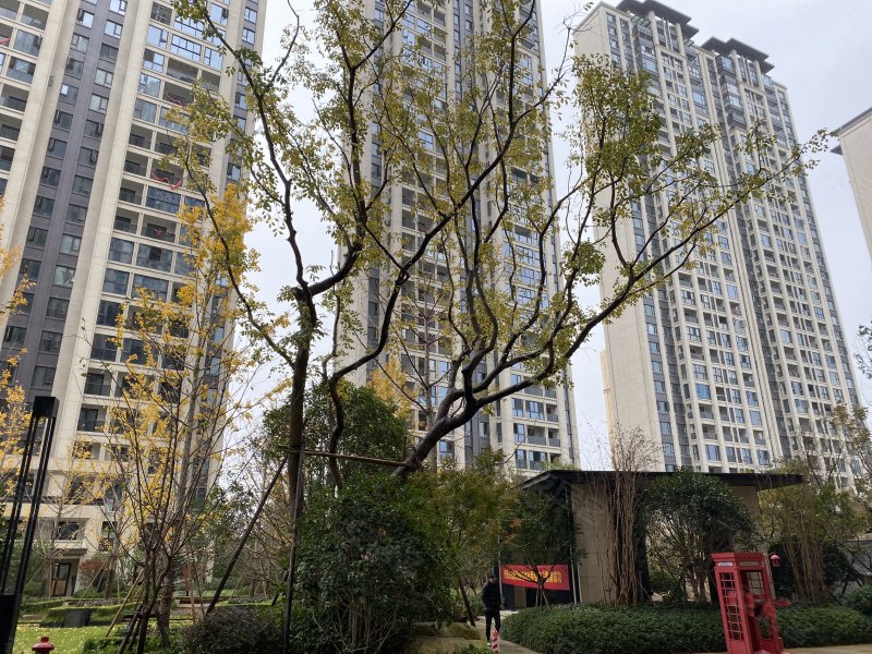 中梁滨江壹号,惠民路,近瓯江路-三亚中梁滨江壹号二手房,租房,房价
