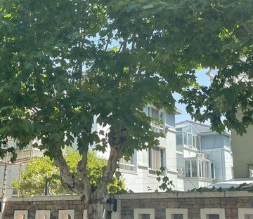 康桥半岛翠庭别墅