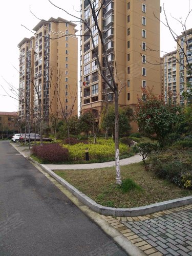 新海佳苑,农丰路,近江南大道 - 海宁新海佳苑二手房,租房,房价-海宁