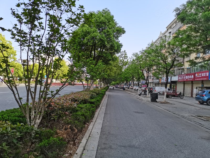 书香苑,独秀大道335号-安庆书香苑二手房,租房,房价-安庆安居客