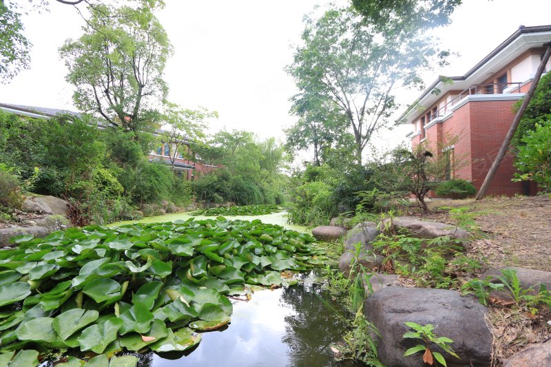 万顺水原墅(别墅) 