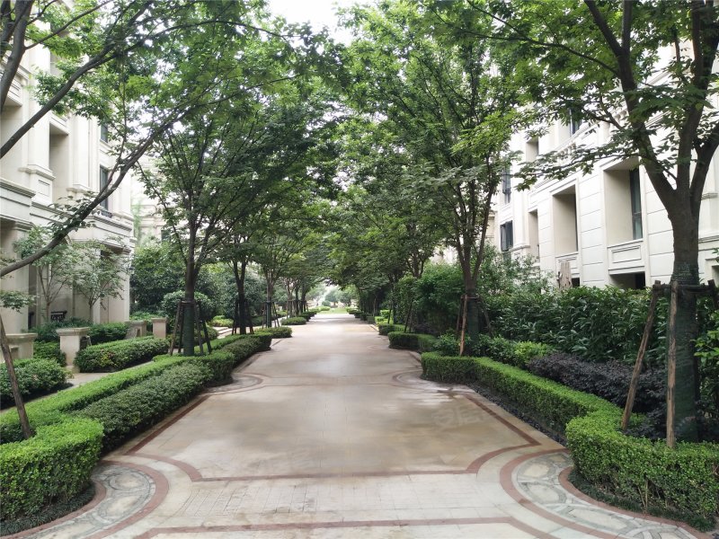 绿城西溪融庄(公寓住宅),荆长大道-杭州绿城西溪融庄(公寓住宅)二手房