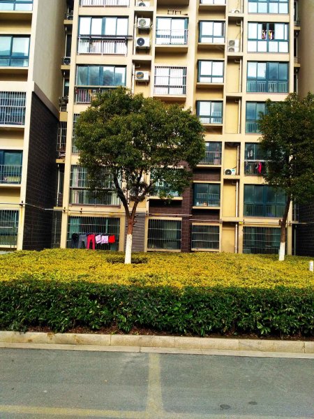 康居新城(西苑),白野线-泰州康居新城(西苑)二手房,租房,房价-泰州