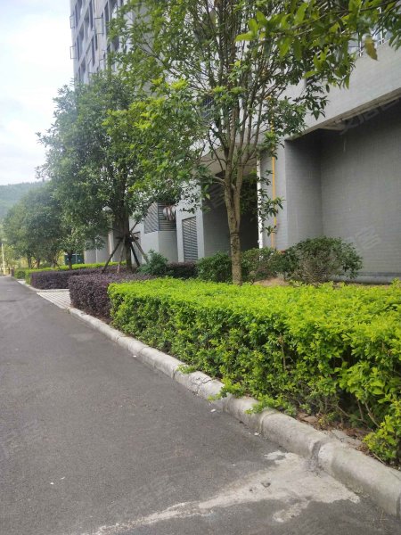 古山居苑(北区),港城路,近政和路-柳州古山居苑(北区)二手房,租房