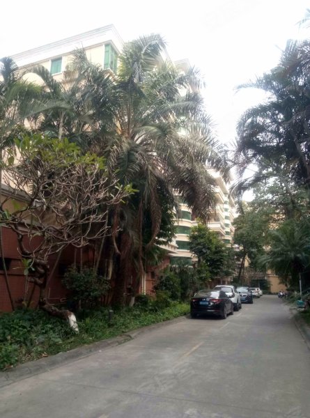 锦江花园,锦祥路-东莞锦江花园二手房,租房,房价-东莞安居客