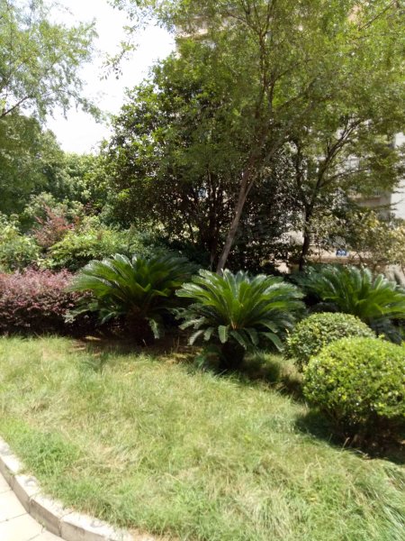 紫金英郡,英俊路,大池路-无锡紫金英郡二手房,租房,房价-无锡安居客