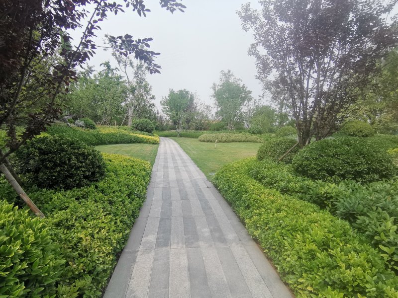 绿地公园城,新郑快速通道,近豫一路-郑州绿地公园城二手房,租房,房价