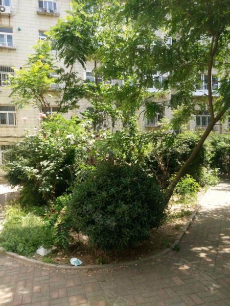 湛山小区,东海一路19号