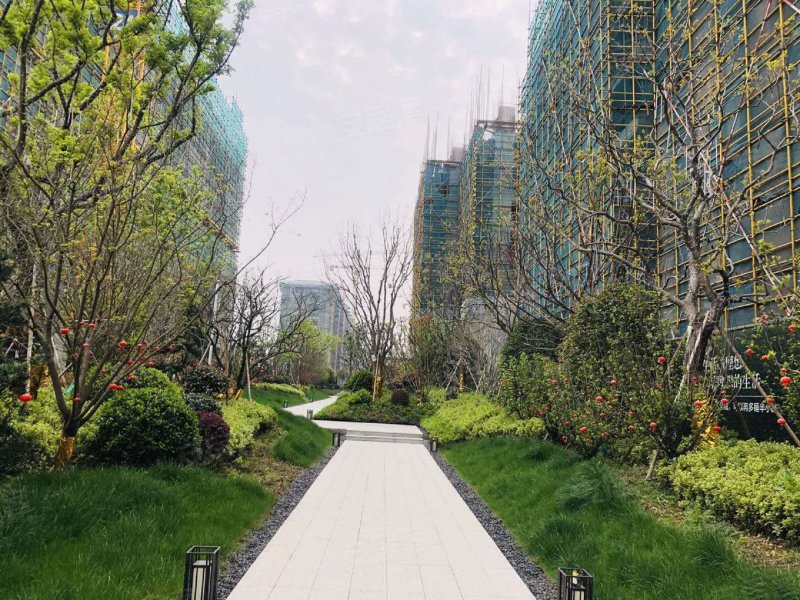 世茂璀璨之城,四海大道,近伏龙山路-义乌世茂璀璨之城二手房,租房