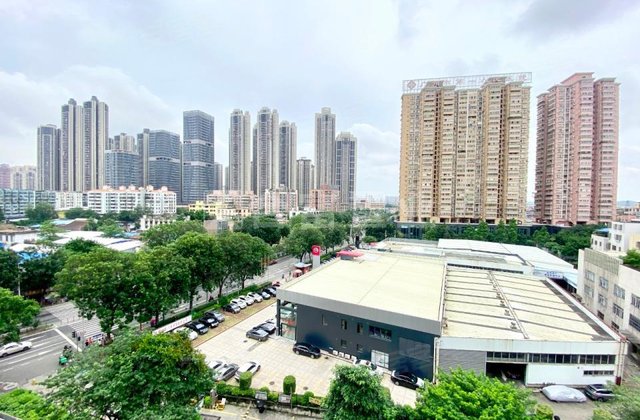 四季花园,花地大道中246号-广州四季花园二手房,租房,房价-广州安居客