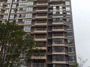 武湖新天地北区南北通透带电梯近地铁次新小区