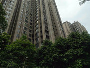 珠江新城东小区图片