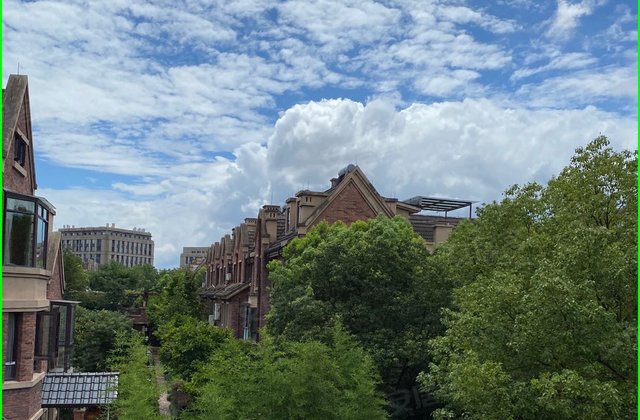 新湖玫瑰园别墅