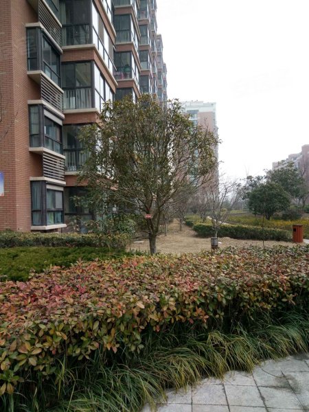 君悦国际花园,青岛路-宿迁君悦国际花园二手房,租房,房价-宿迁安居客