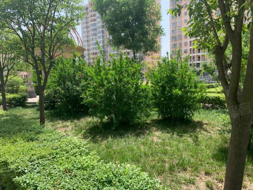 皇冠花园,人民西路221号 - 西安皇冠花园二手房,租房,房价-西安安居客