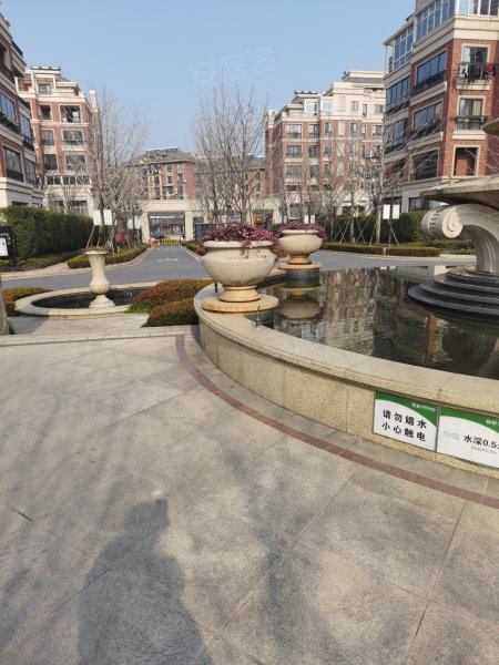 新湖景城郁金香郡