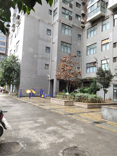 新界,凤城六路东段398号