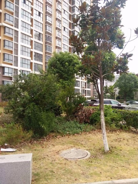 新光嘉园(二期)