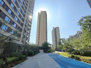 公园天著 双卫 中间楼层 电梯房 小三房 商品住宅