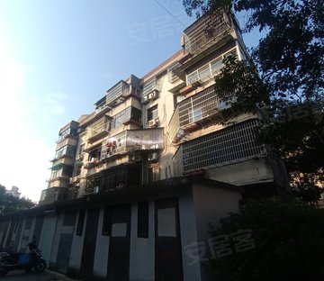 新站弄4-21号小区