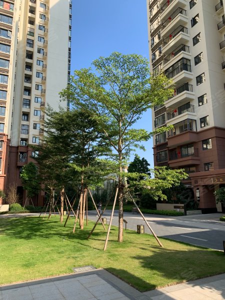 五象大唐果,良兴路15号-南宁五象大唐果二手房,租房,房价-南宁安居客