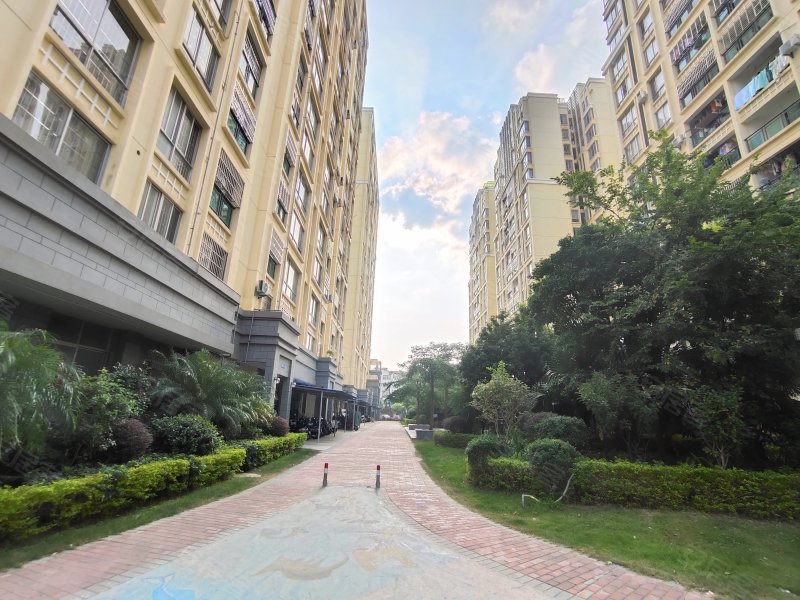 德臣金海花园,上海路中12号-北海德臣金海花园二手房,租房,房价-北海