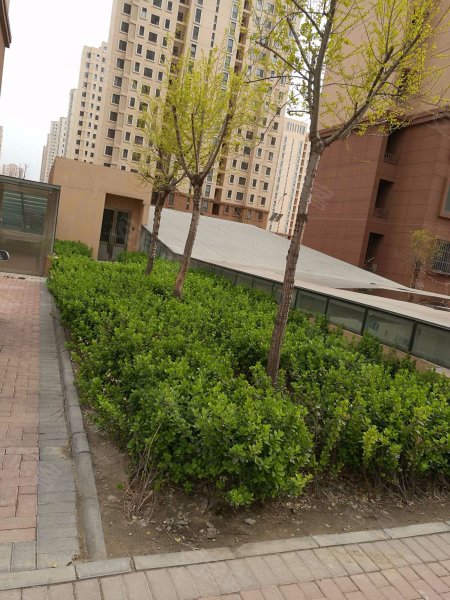津铁惠苑,浯水道-天津津铁惠苑二手房,租房,房价-天津安居客
