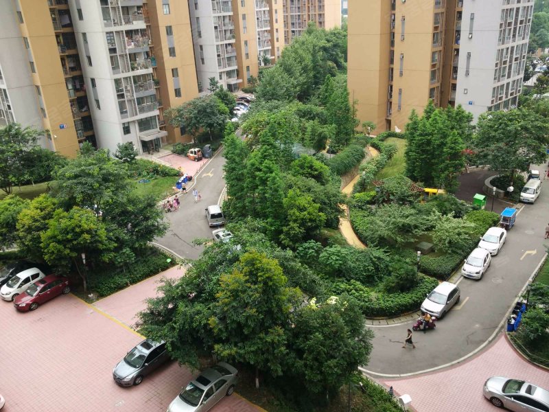 东锦瑞苑,芙蓉中路115号-成都东锦瑞苑二手房,租房,房价-成都安居客