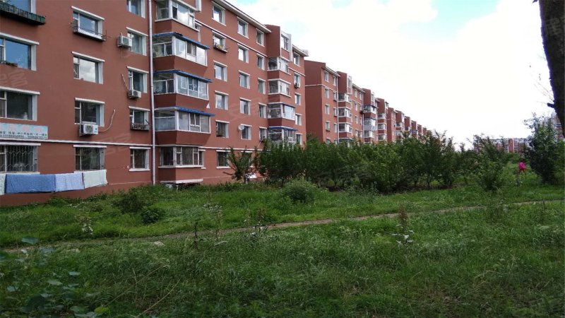 新开河小区(南区),合肥路-长春新开河小区(南区)二手房,租房,房价