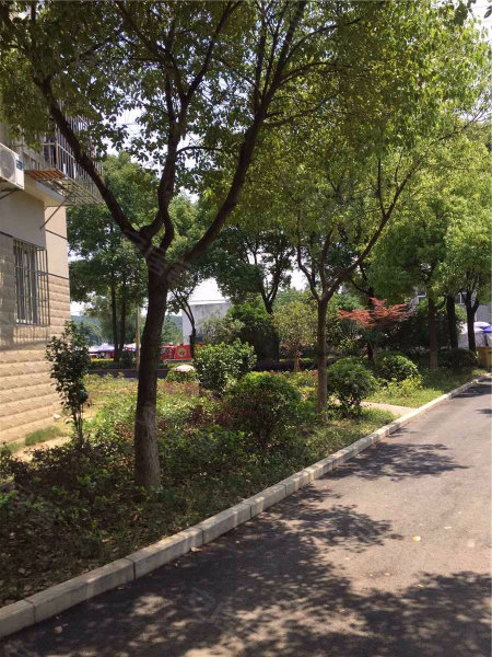 南京五福家园图片